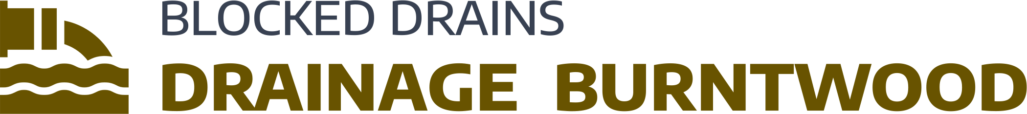 website logo